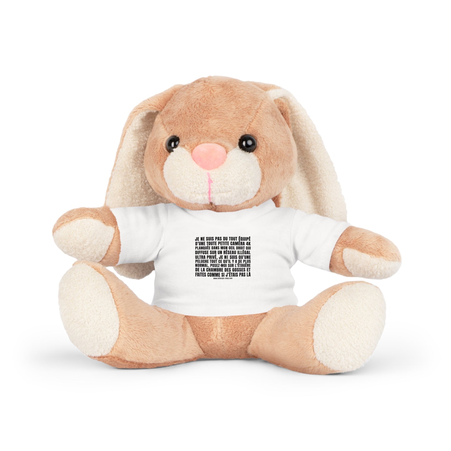 Peluche pas du tout équipée d'une petite caméra tkt