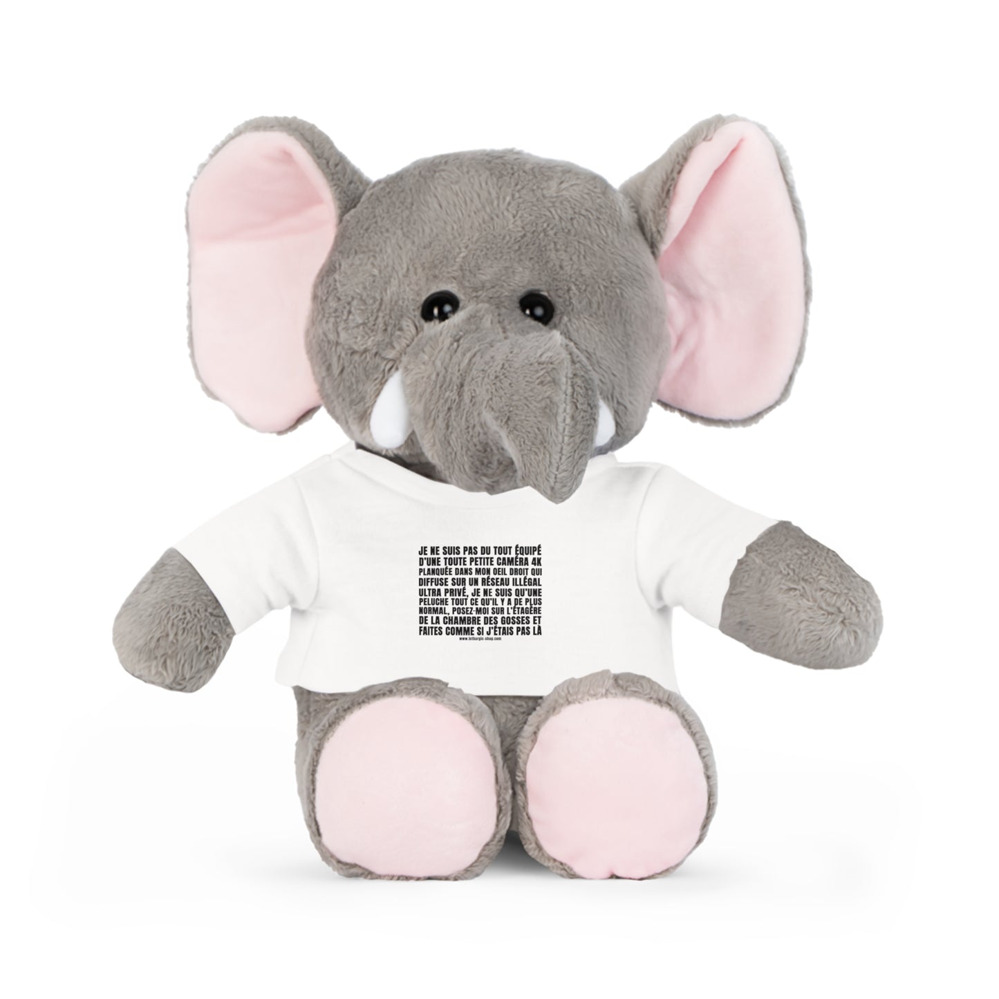 Peluche pas du tout équipée d'une petite caméra tkt