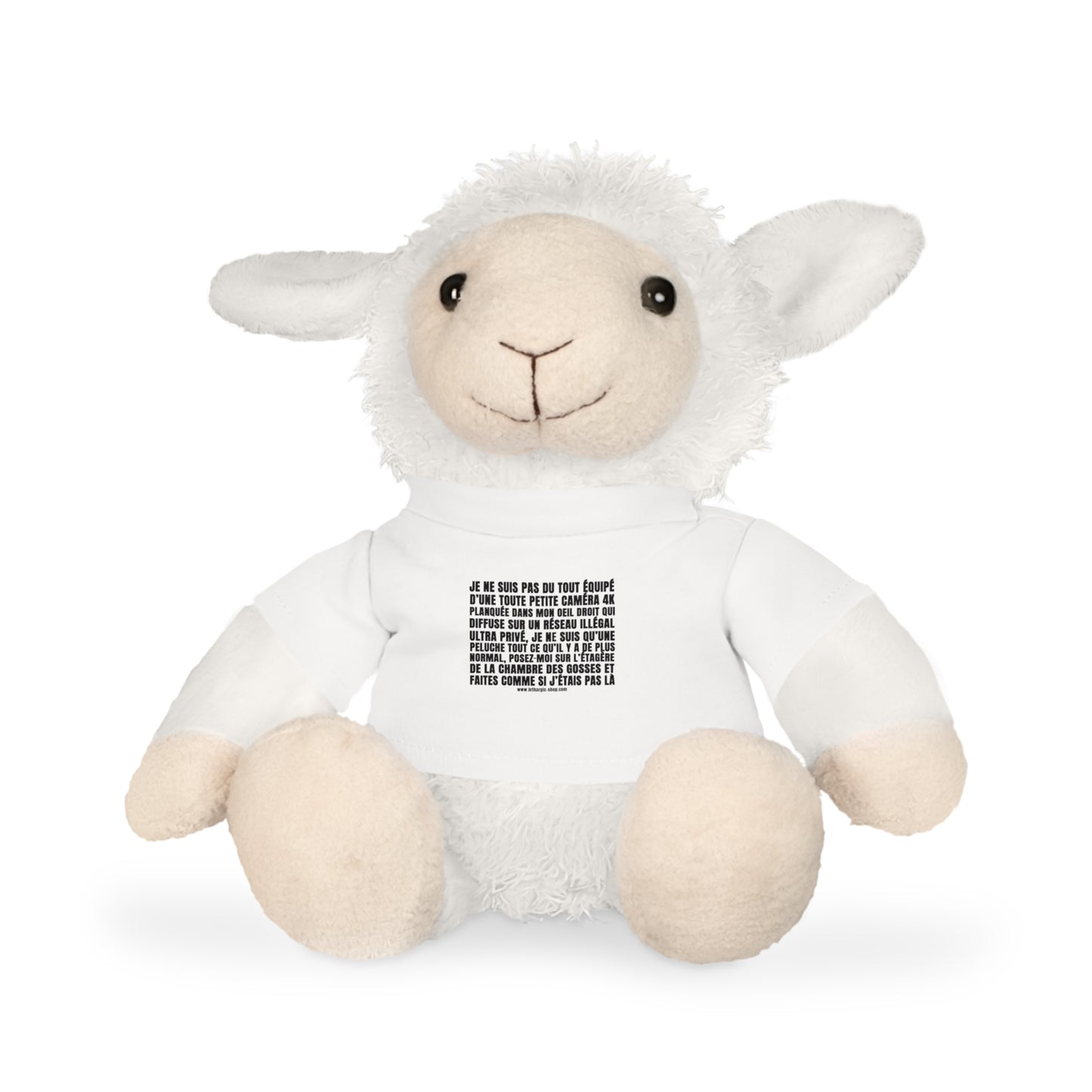 Peluche pas du tout équipée d'une petite caméra tkt